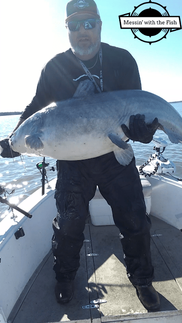78 pound certfied catch onLake Tawakoni Texas